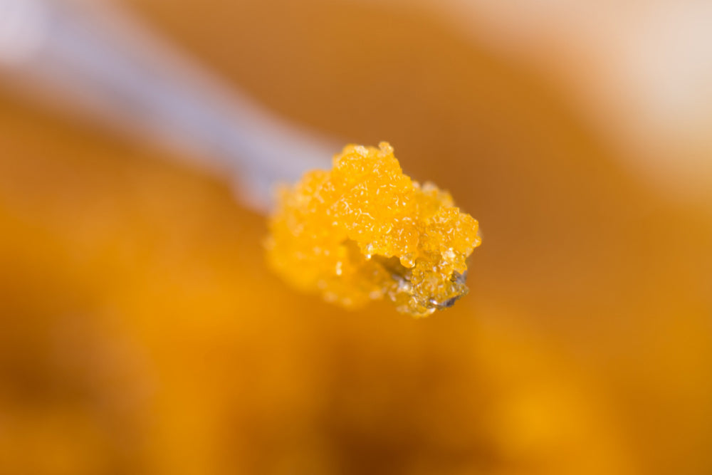 Wax Concentrates