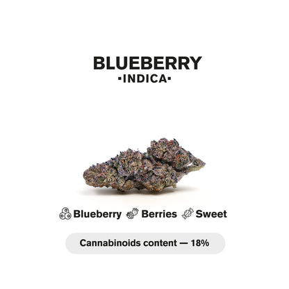 0.5g Blueberry Mini Pre-Roll - Indica - THCA