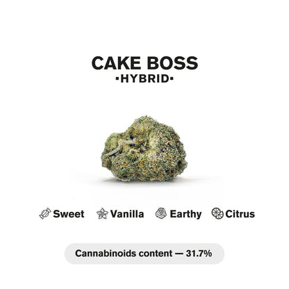 0.5g Cake Boss Mini Pre-Roll - Hybrid - THCA