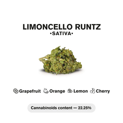 0.5g Limoncello Runtz Mini Pre-Roll - Sativa - THCA