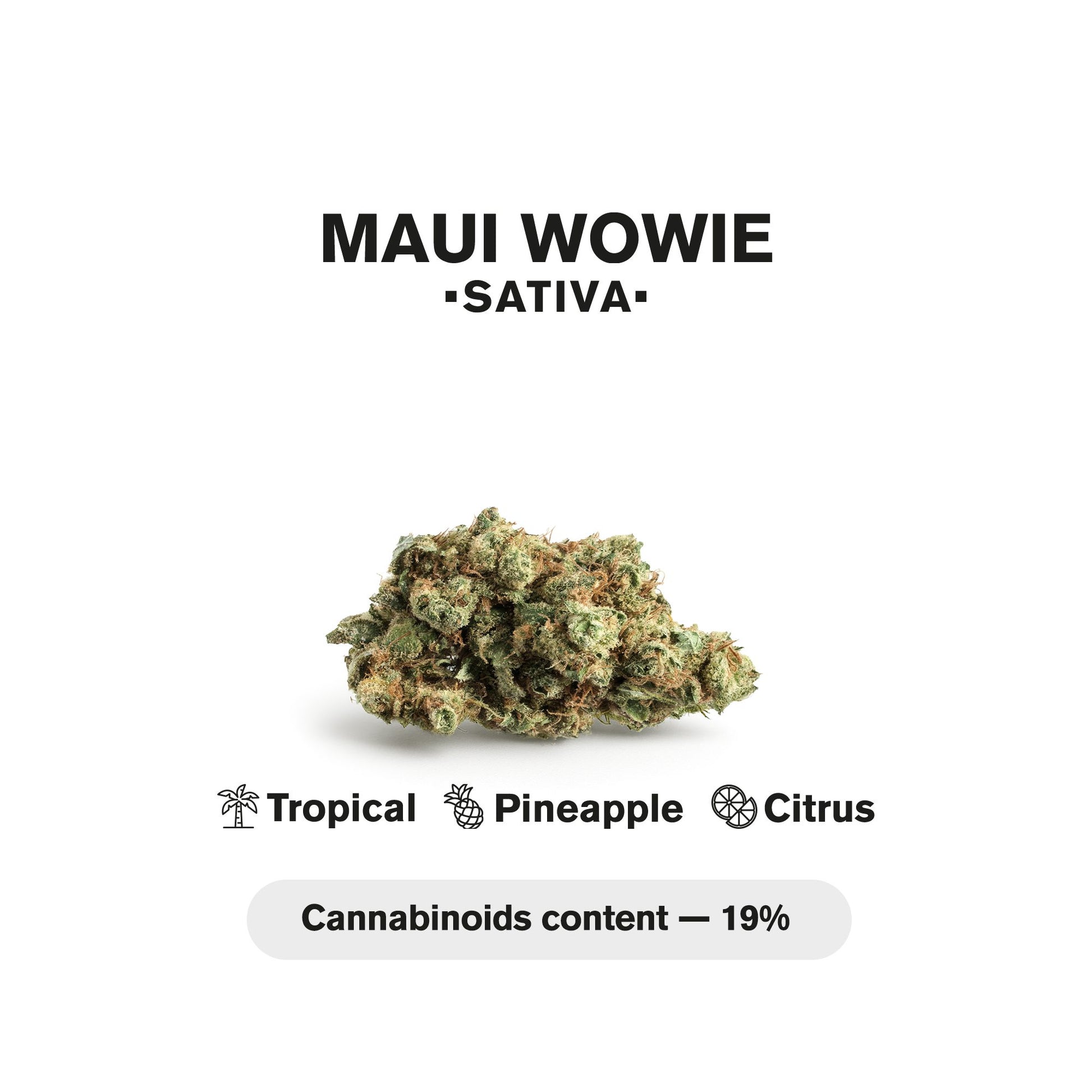 0.5g Mini Pre-Roll Maui Wowie - Sativa - THCA