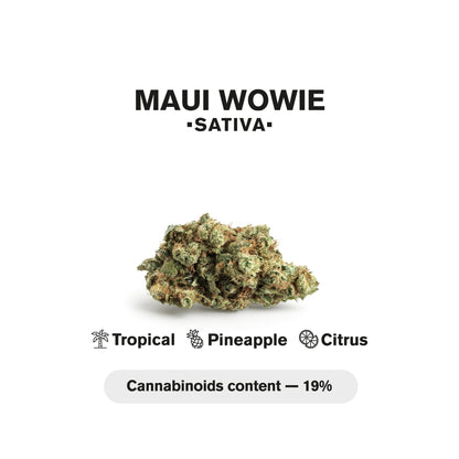 0.5g Mini Pre-Roll Maui Wowie - Sativa - THCA