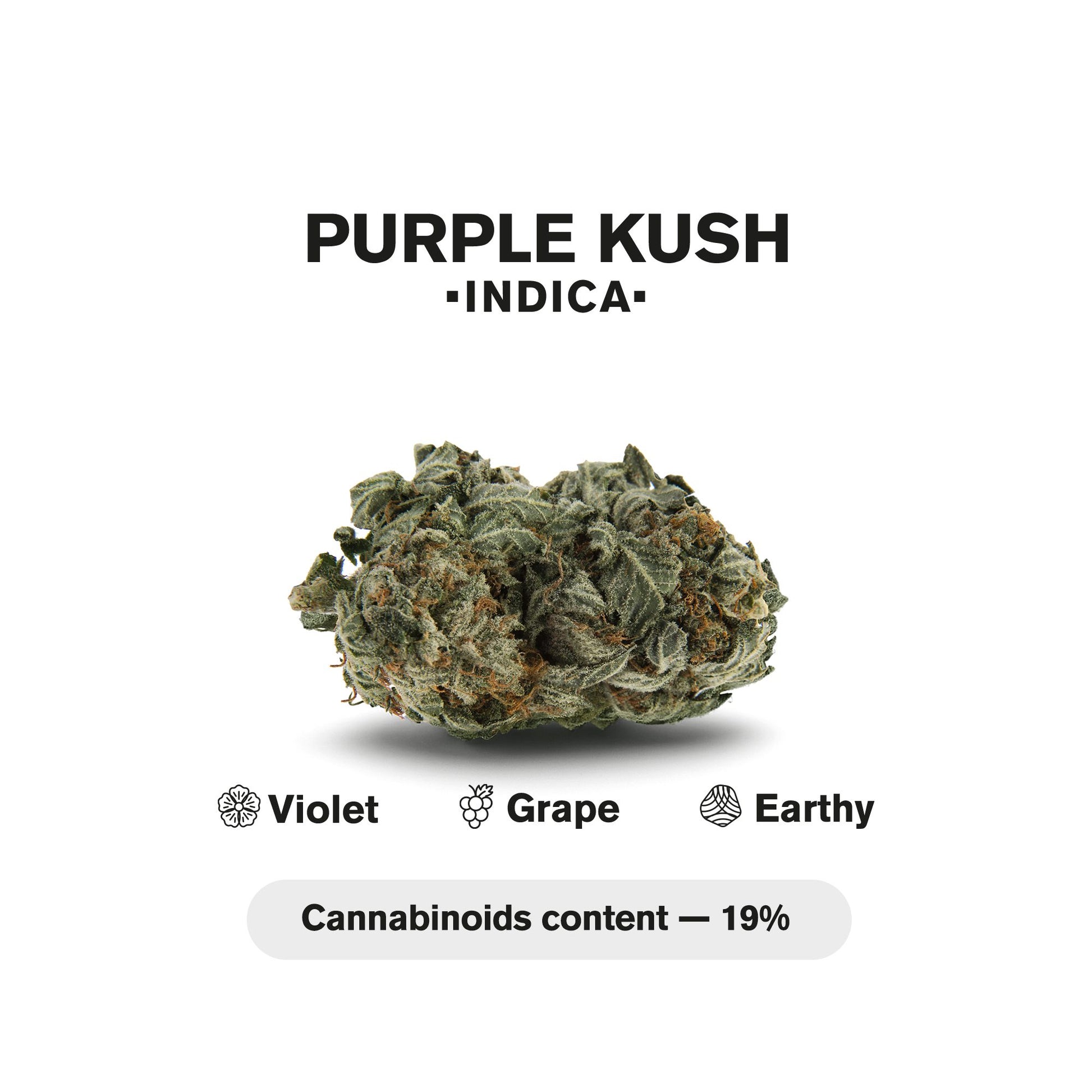 0.5g Purple Kush Mini Pre-Roll - Indica - THCA