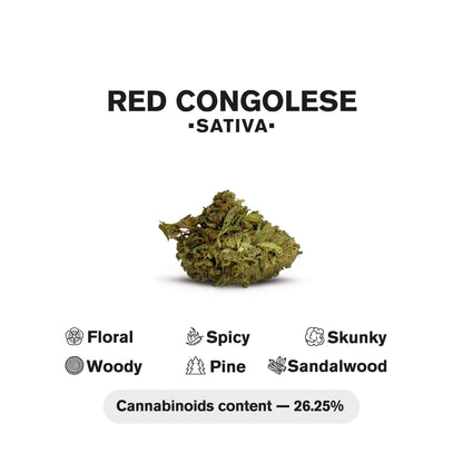 0.5g Red Congolese Mini Pre-Roll - Sativa - THCA
