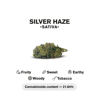 0.5g Silver Haze Mini Pre-Roll - Sativa - THCA