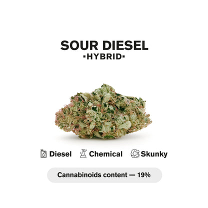 0.5g Sour Diesel Mini Pre-Roll - Sativa - THCA
