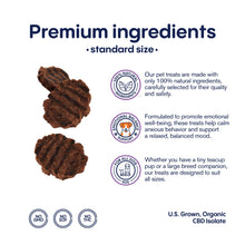 1,000mg CBD Pet Treats For Dogs - Burger Beef Minis - MediPets