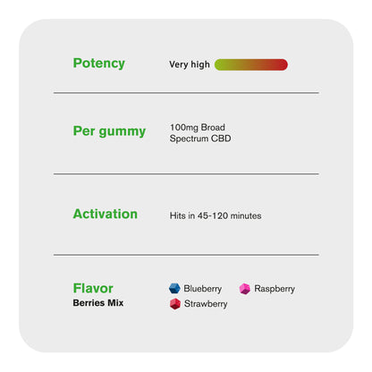 Vegan Berries Mix