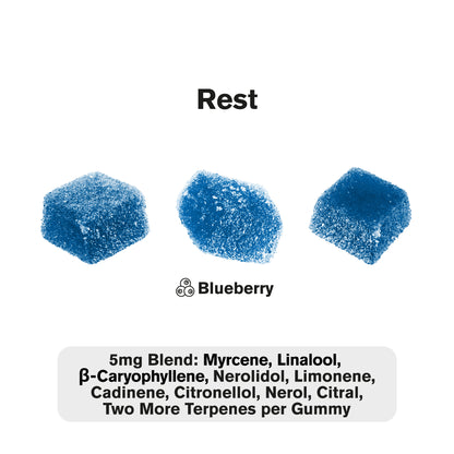 10mg Terpene Gummies - Blueberry - Terps Gummies