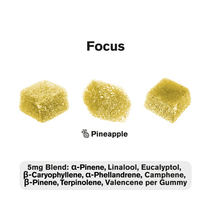 10mg Terpene Gummies - Pineapple - Terps Gummies