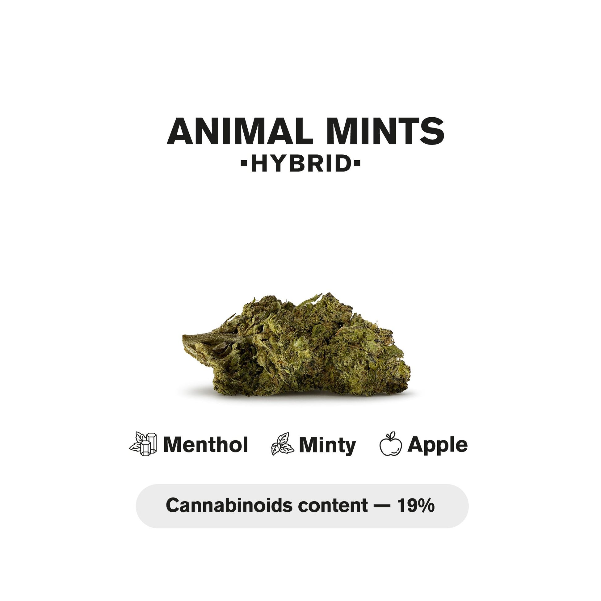 1.5g Animal Mints King Size Pre-Roll - Hybrid - THCA