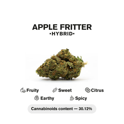 1.5g Apple Fritter King Size Pre-Roll - Hybrid - THCA