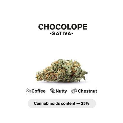 1.5g Chocolope Strain King Size Pre-Roll - Sativa - THCA