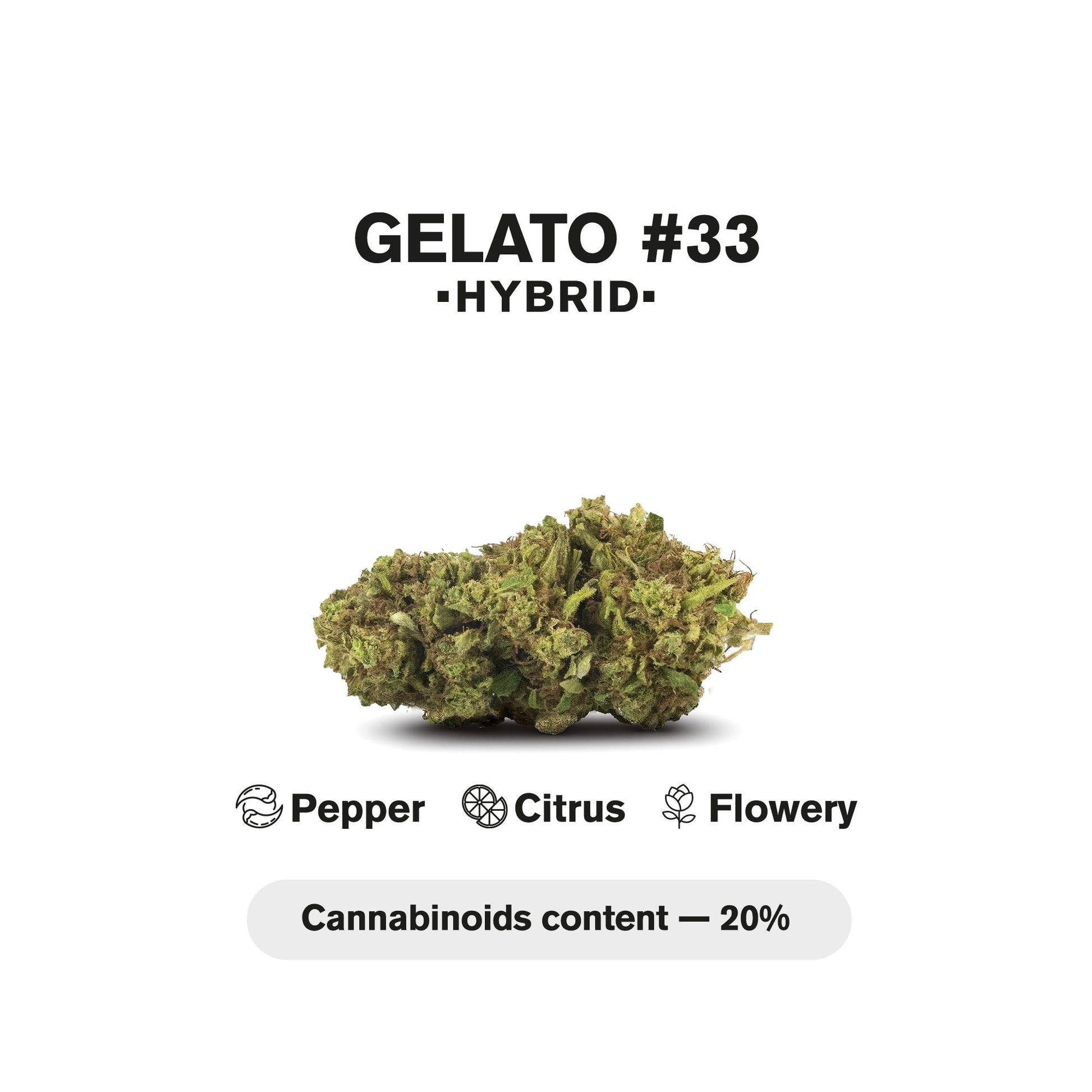 1.5g Gelato #33 King Size Pre-Roll - Hybrid - THCA