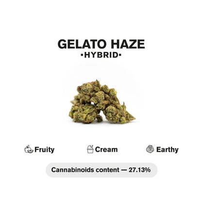 1.5g Gelato Haze King Size Pre-Roll - Hybrid - THCA