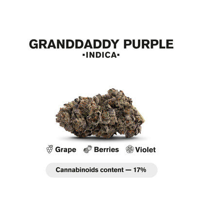 1.5g GrandDaddy Purp King Size Pre-Roll - Indica - THCA