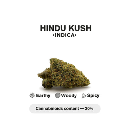 1.5g Hindu Kush King Size Pre-Roll - Indica - THCA