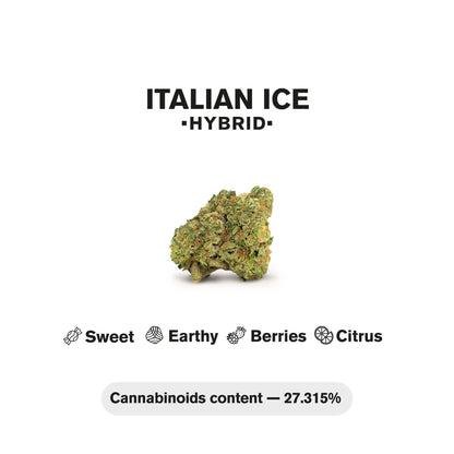 1.5g Italian Ice Strain King Size Pre-Roll - Hybrid - THCA