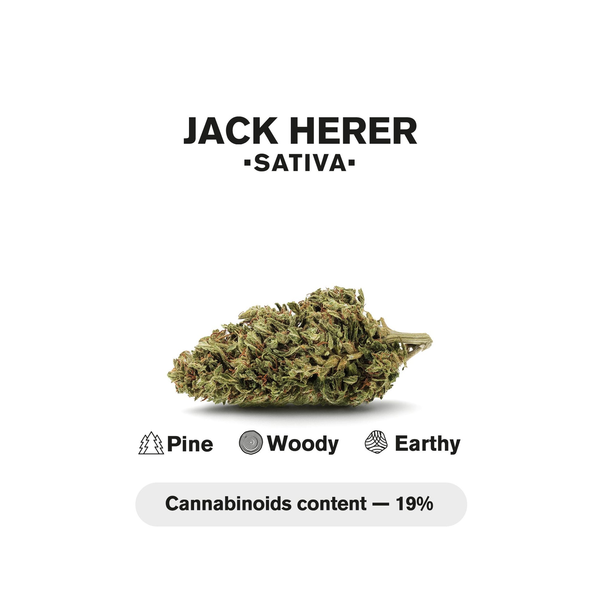 1.5g Jack Herer King Size Pre-Roll - Sativa - THCA