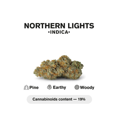 1.5g Northern Lights King Size Pre-Roll - Indica - THCA