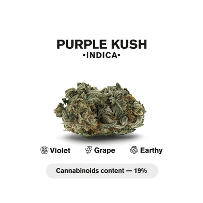 1.5g Purple Kush King Size Pre-Roll - Indica - THCA