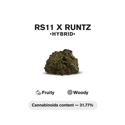 1.5g RS11 x Runtz King Size Pre-Roll - Hybrid - THCA