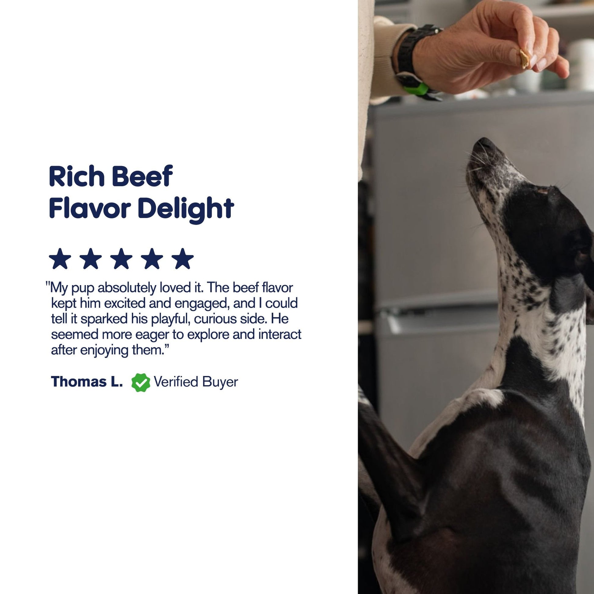 200mg CBD Pet Treats For Dogs - Meaty Steak Treats - MediPets