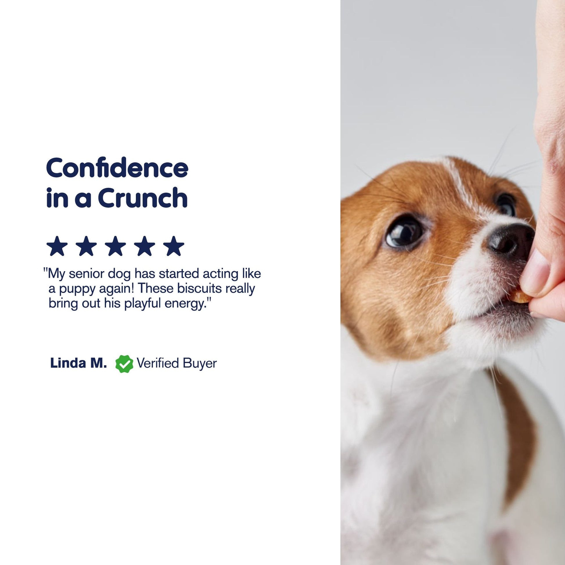 300mg CBD Pet Treats For Dogs - Bone Marrow Chew - MediPets