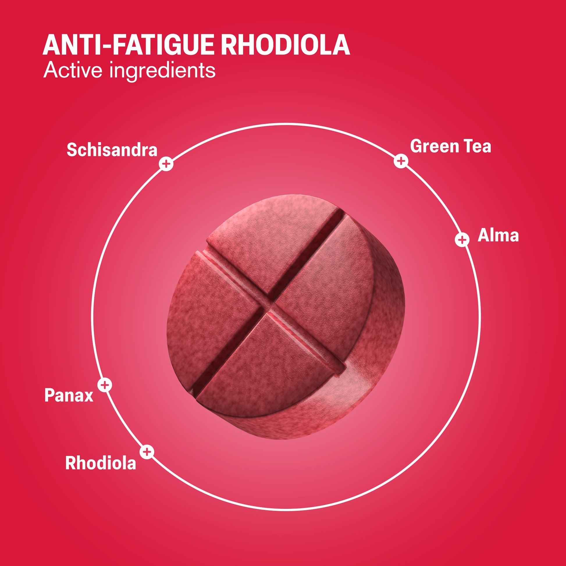 500mg Anti-Fatigue Rhodiola Tablets - Cranberry Hibiscus - Mood Tablets