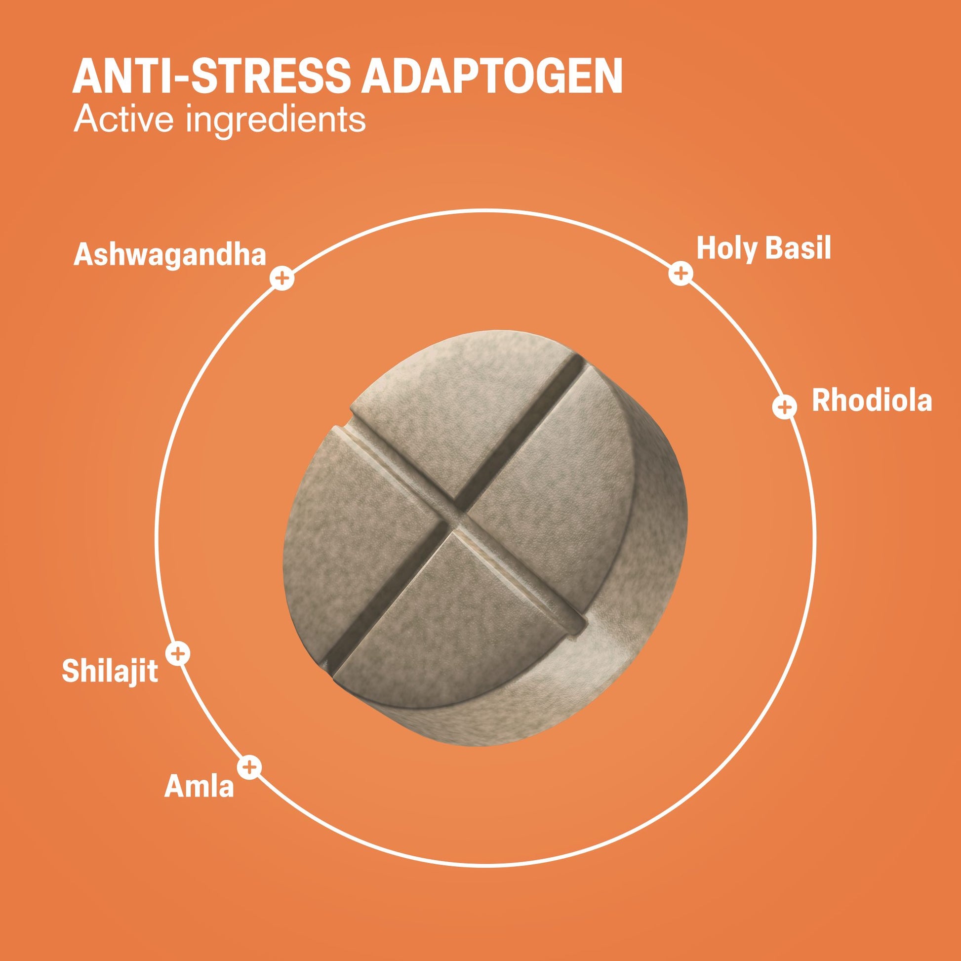 500mg Anti-Stress Tablets - Cardamon Vanilla Chai - Mood Tablets