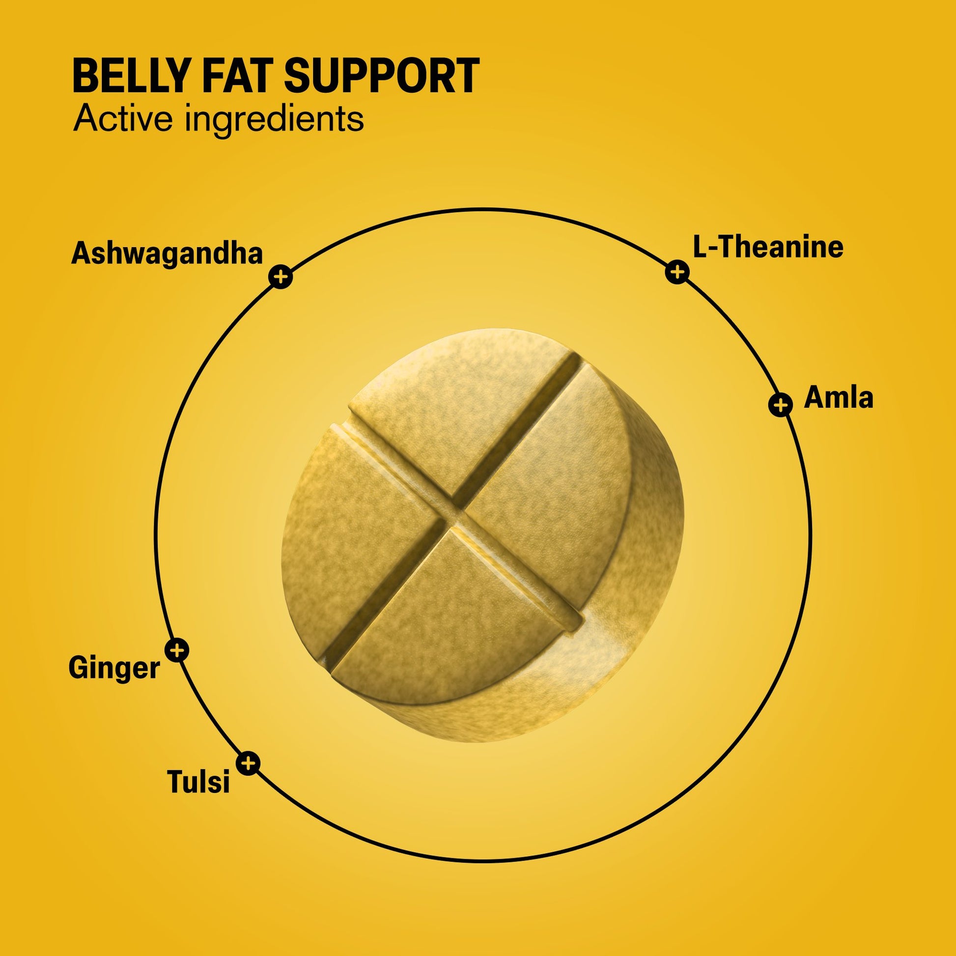 500mg Belly Fat Support Tablets - Pineapple Chili - Mood Tablets