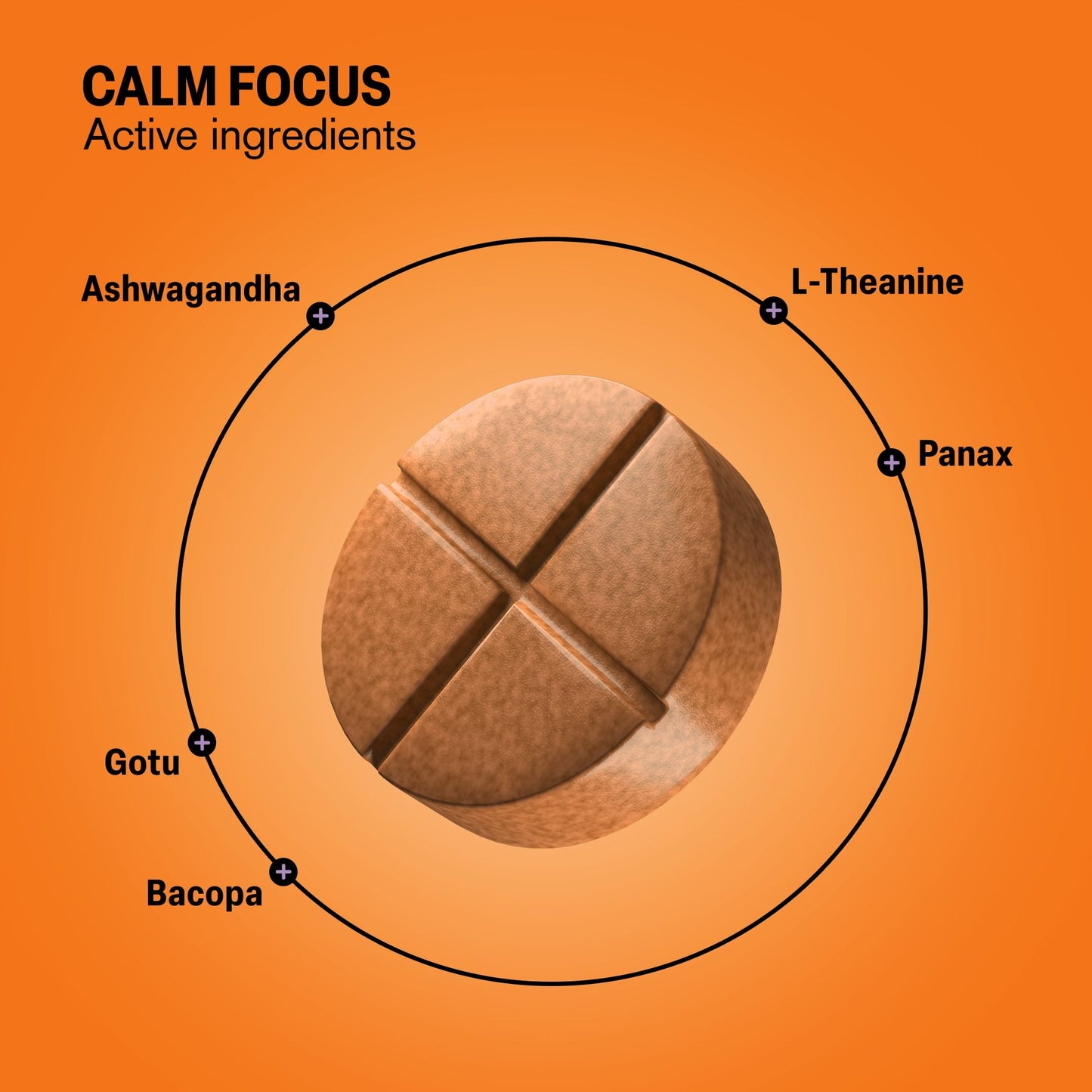 500mg Calm Focus Tablets - Mango Mint - Mood Tablets