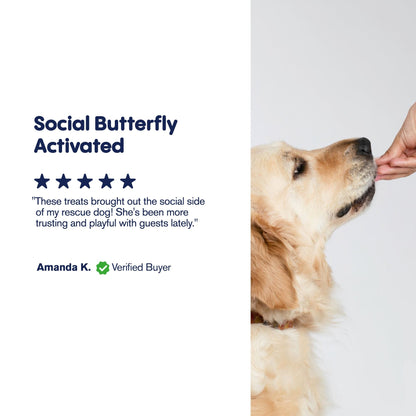 500mg CBD Pet Treats For Dogs - Beef Chew - MediPets