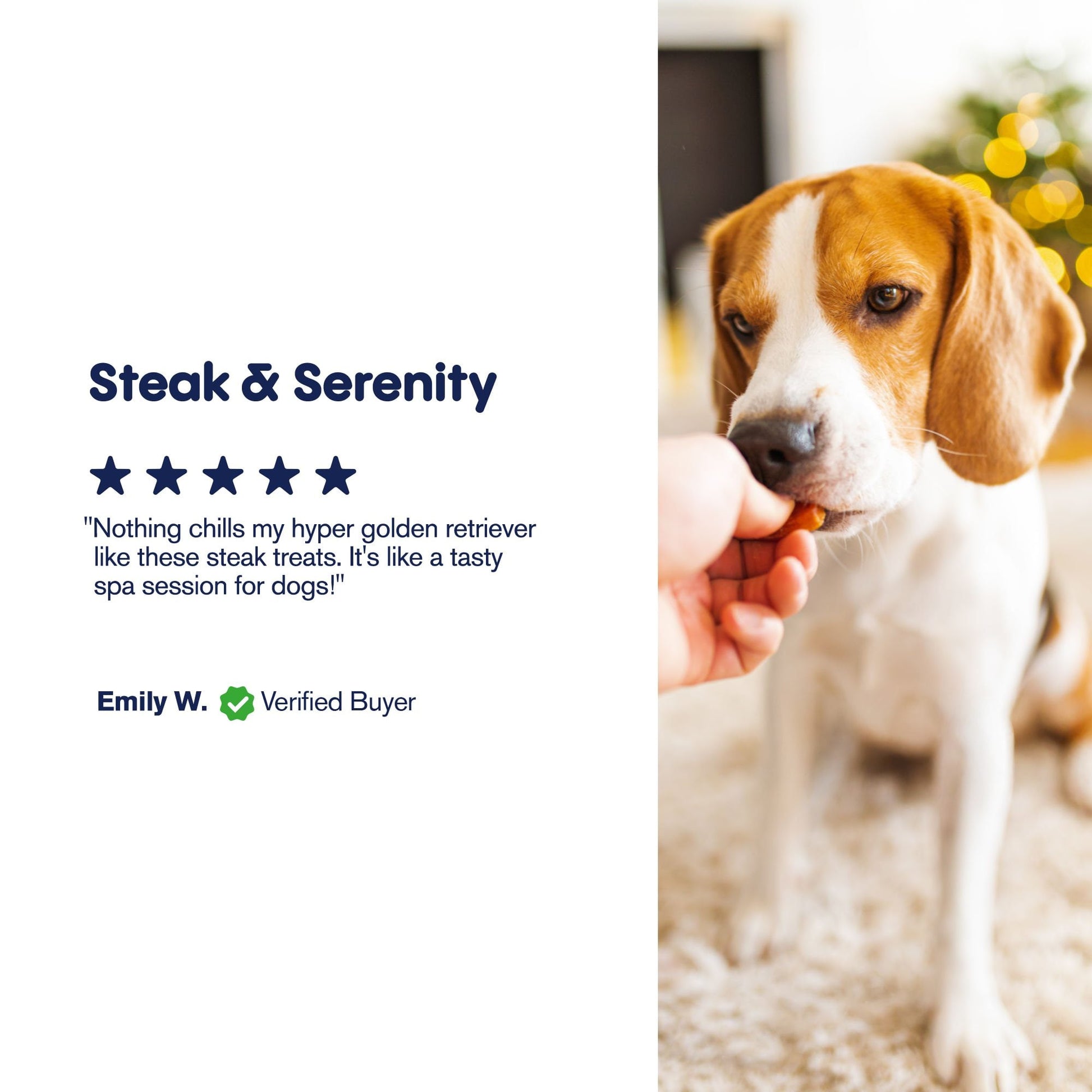 500mg CBD Pet Treats For Dogs - Grilled Steak - MediPets