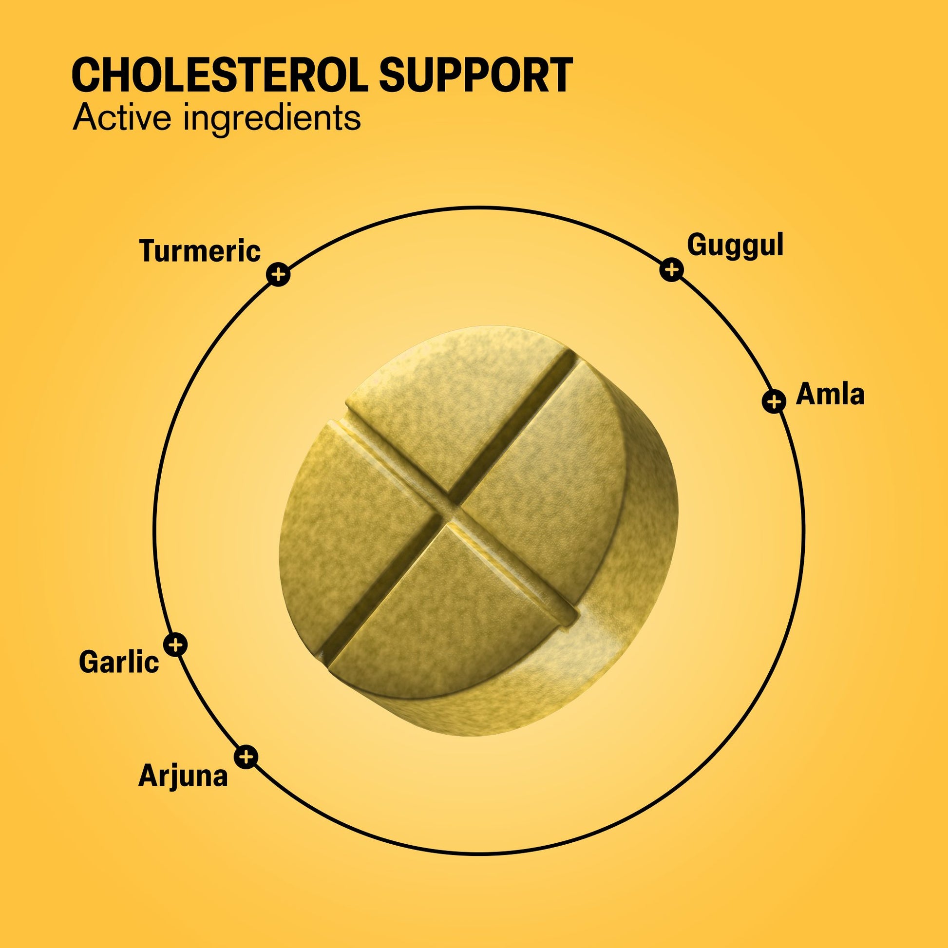 500mg Cholesterol Support Tablets - Spiced Orange - Mood Tablets