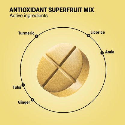 500mg Cold Season Support Tablets - Honey Ginger Lemon - Mood Tablets