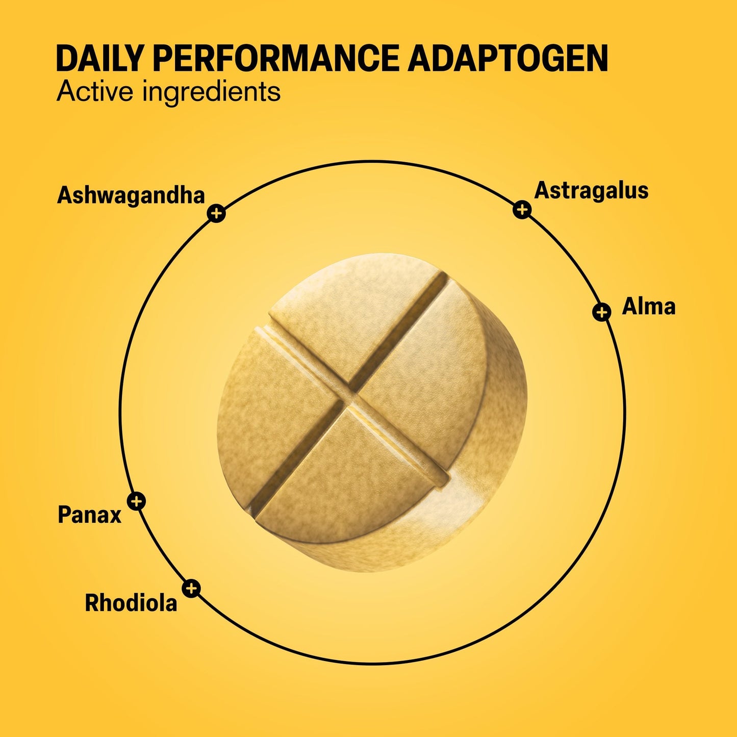 500mg Daily Performance Adaptogen Tablets - Pineapple Ginger - Mood Tablets