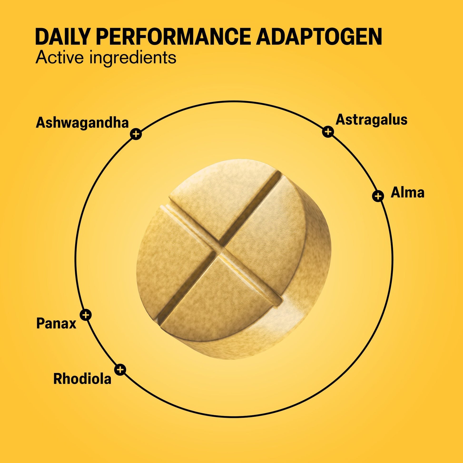 500mg Daily Performance Adaptogen Tablets - Pineapple Ginger - Mood Tablets