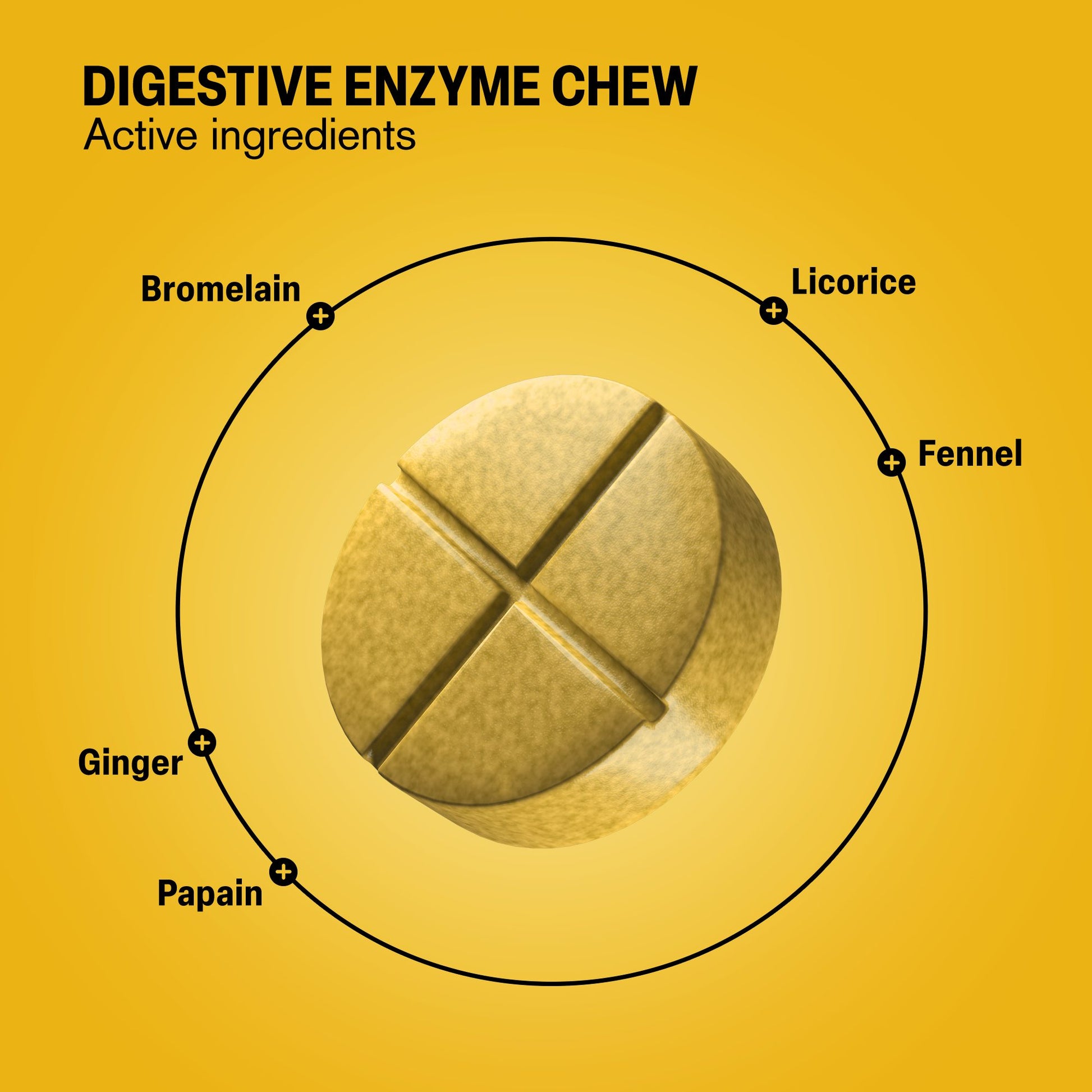 500mg Digestive Enzyme Tablets - Pineapple Papaya - Mood Tablets