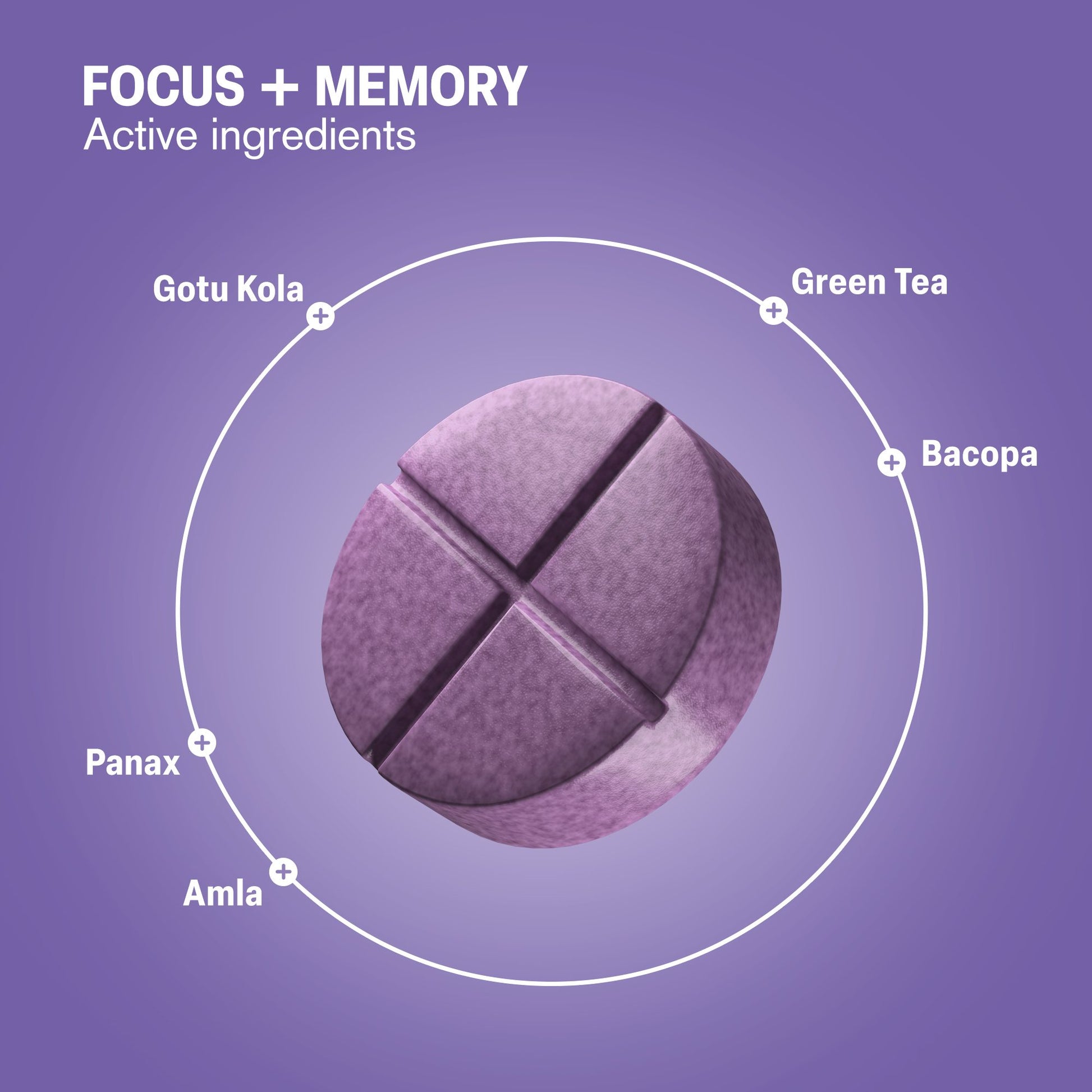 500mg Focus + Memory Tablets - Blueberry Acai - Mood Tablets