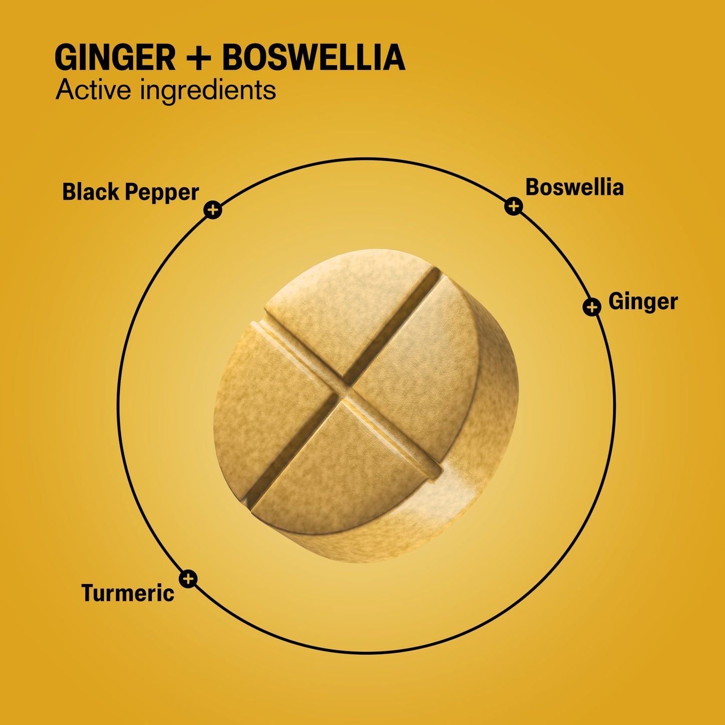 500mg Ginger + Boswellia Tablets - Spiced Mango - Mood Tablets