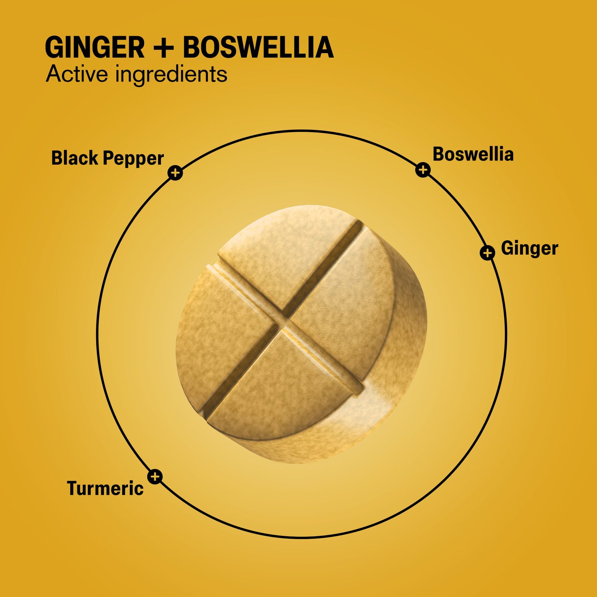 500mg Ginger + Boswellia Tablets - Spiced Mango - Mood Tablets