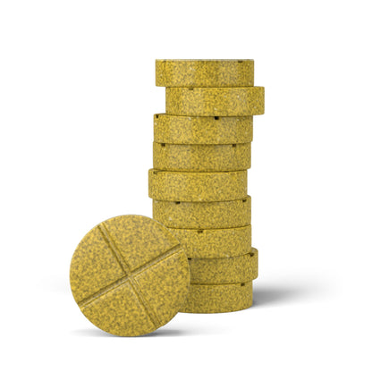 500mg Ginger + Turmeric Tablets - Spiced Orange - Mood Tablets