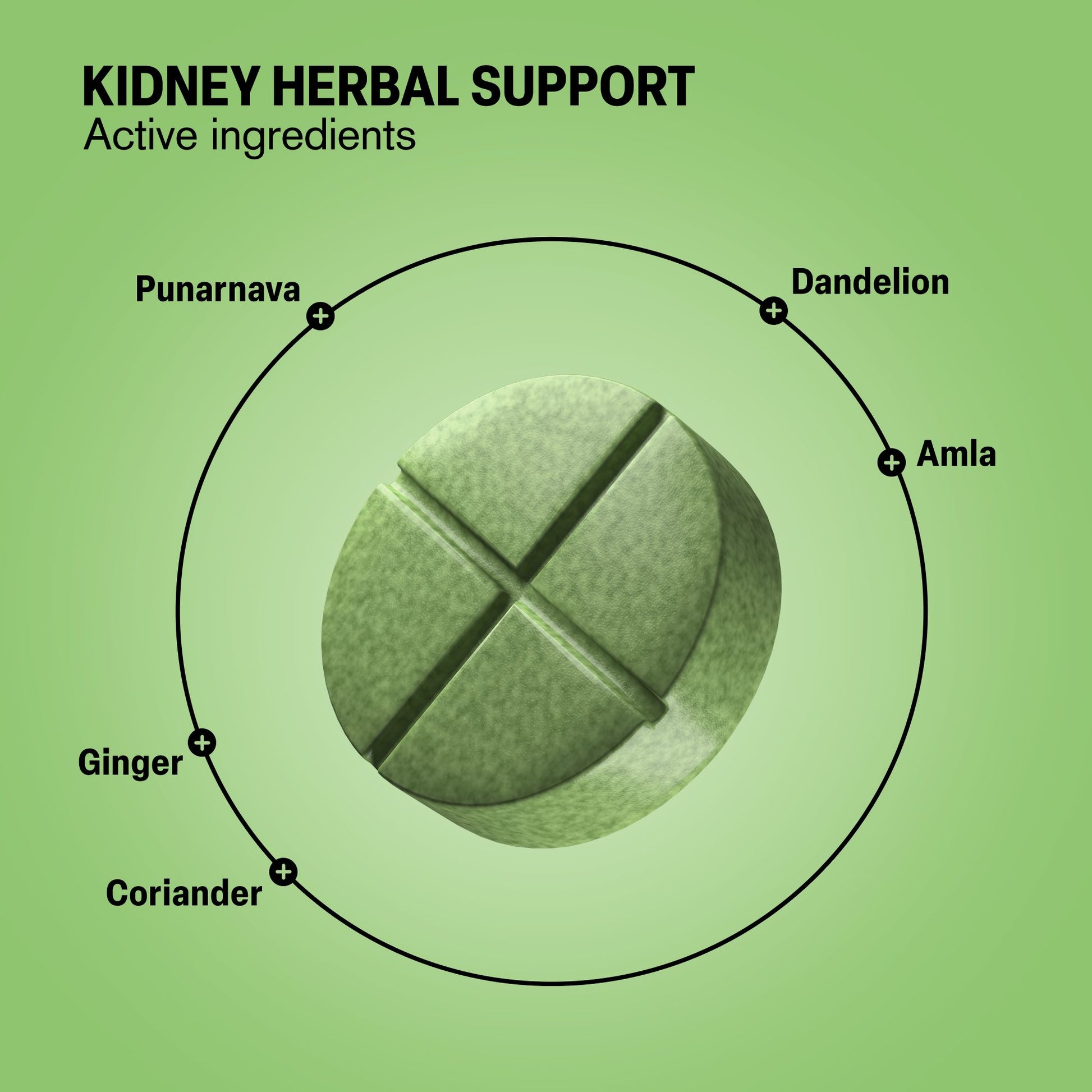 500mg Kidney Herbal Support Tablets - Lemon Mint - Mood Tablets