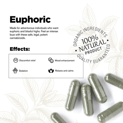 500mg Kratom Capsules - Green Malay Strain - 100ct - Chill Plus