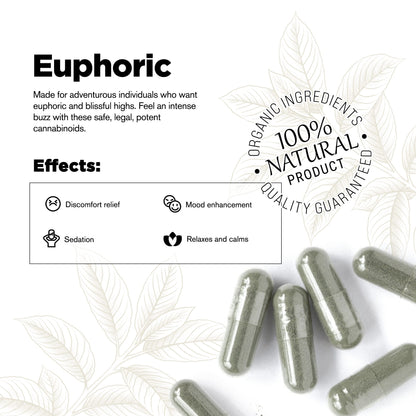 500mg Kratom Capsules - White Maeng Da Strain - 100ct - Chill Plus