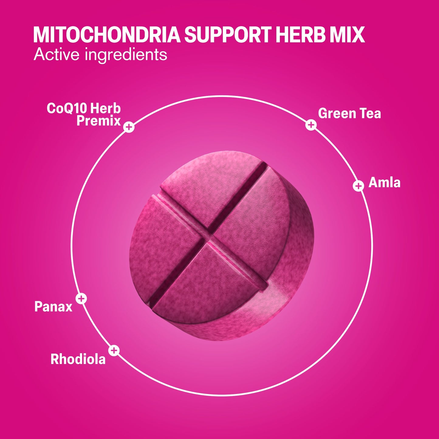 500mg Mitochondria Support Herb Mix Tablets - Lemon Berry - Mood Tablets