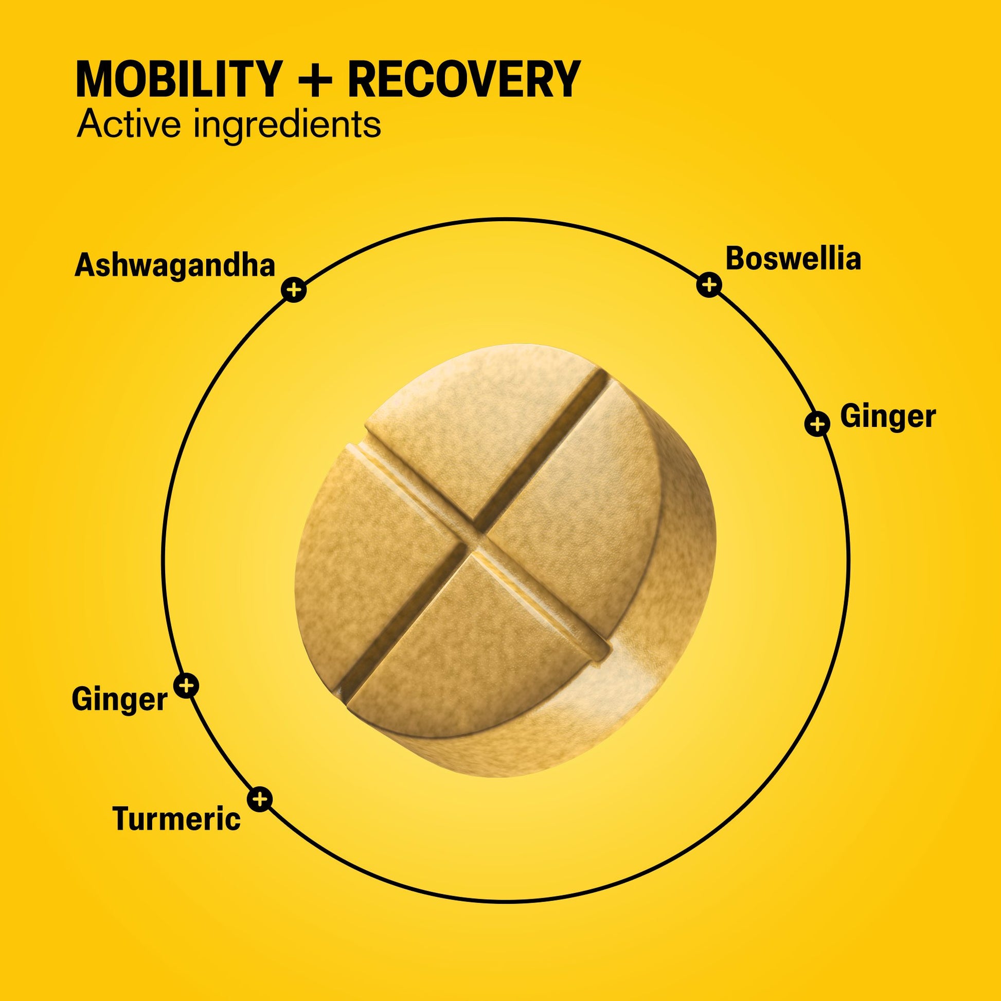 500mg Mobility + Recovery Tablets - Lemon Ginger - Mood Tablets
