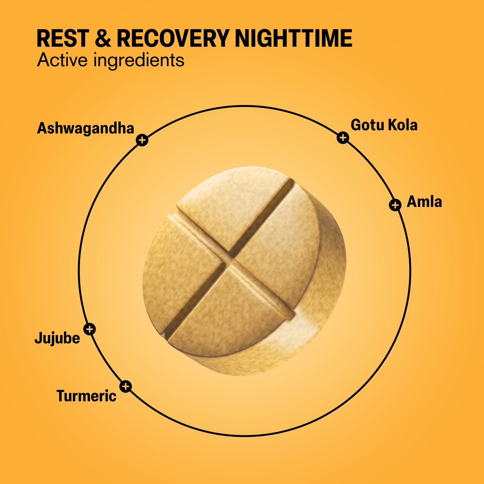 500mg Rest & Recovery Nighttime Tablets - Golden Milk - Mood Tablets