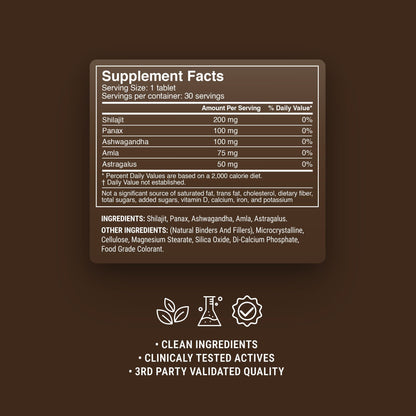 500mg Shilajit Mineral Energy Tablets - Dark Chocolate Mint - Mood Tablets